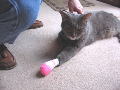 Looking good in a hot pink bandage.